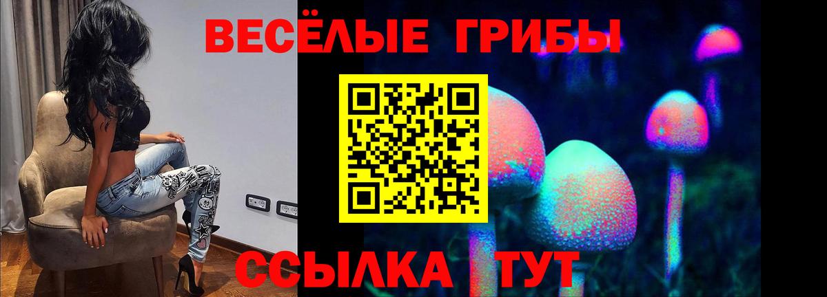 Псилоцибиновые грибы мухоморы  Вход с VPN  Светлоград 